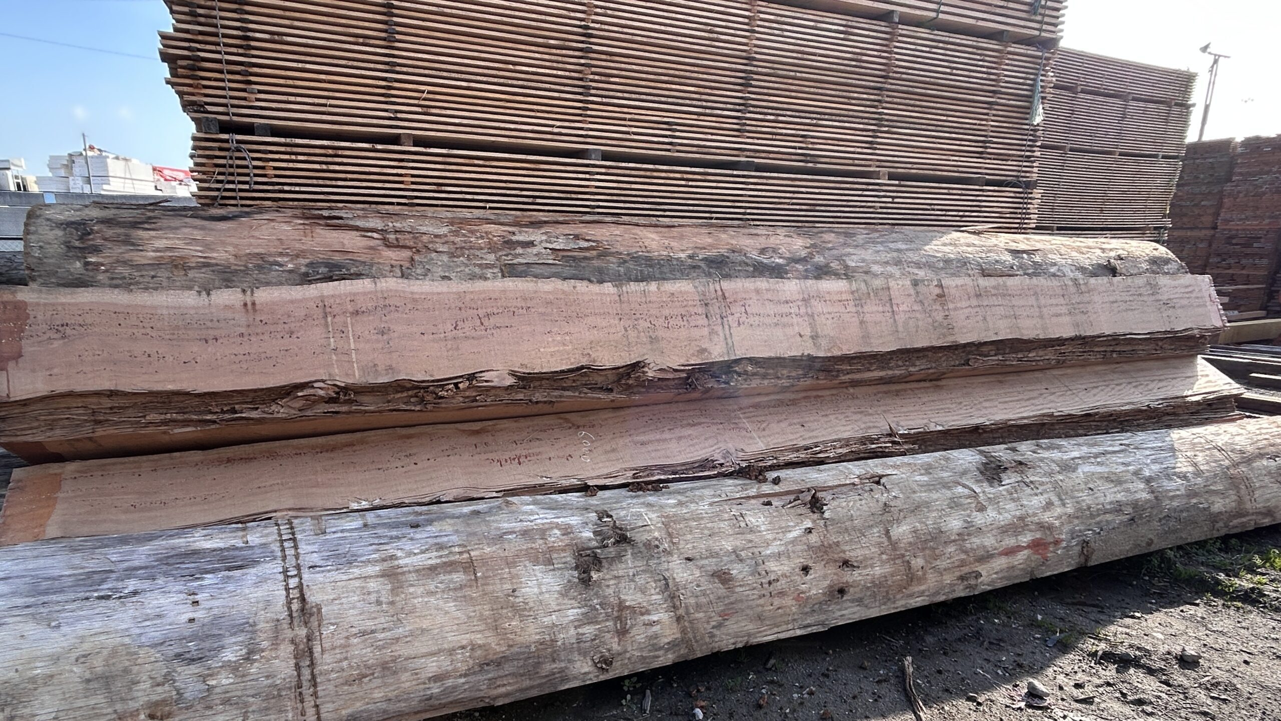 コラムサムネイル