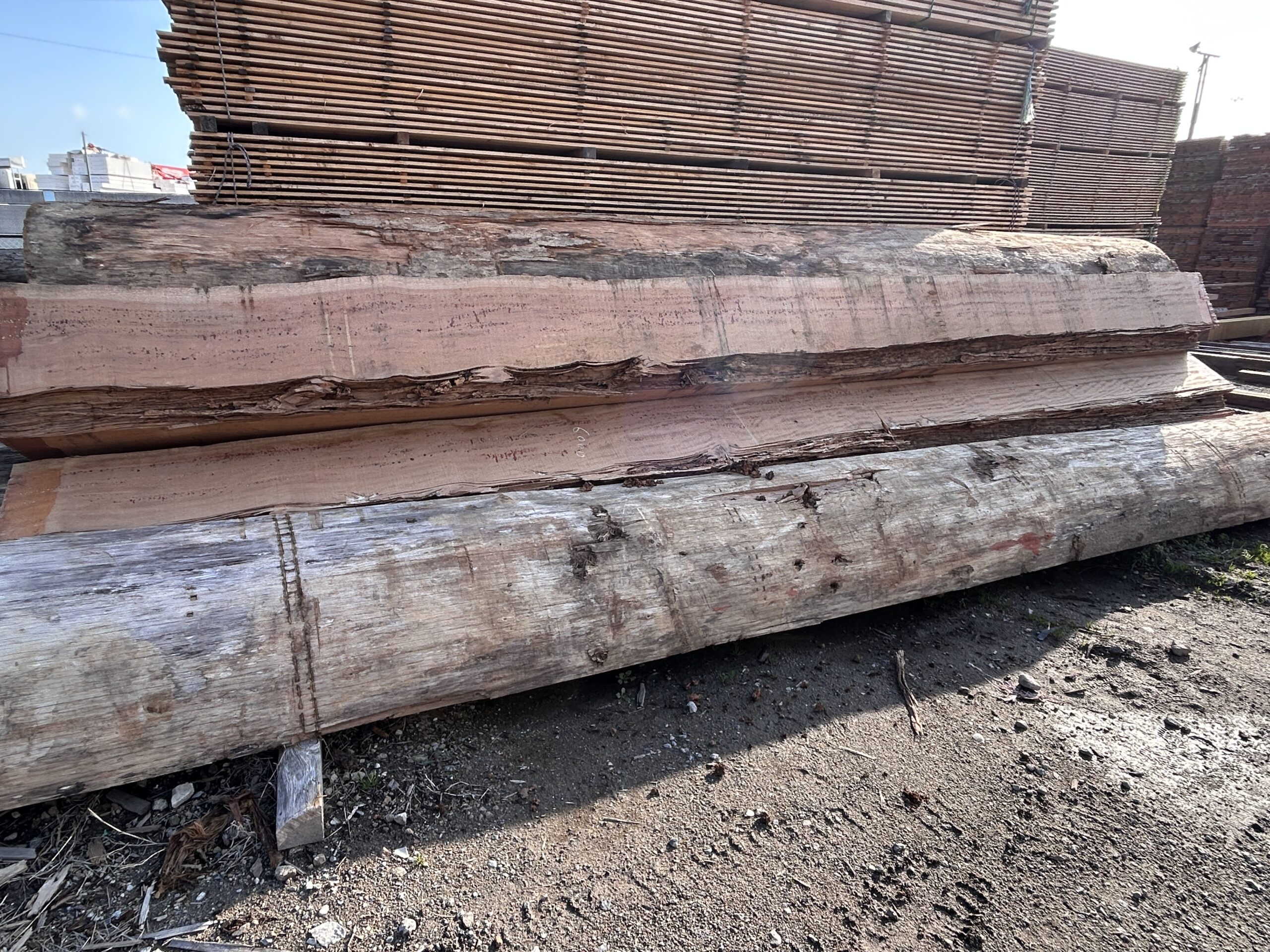 コラムサムネイル