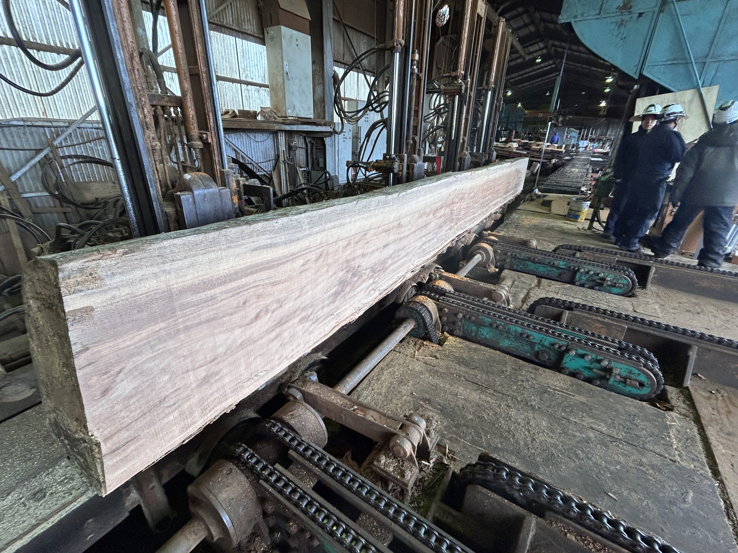 コラムサムネイル